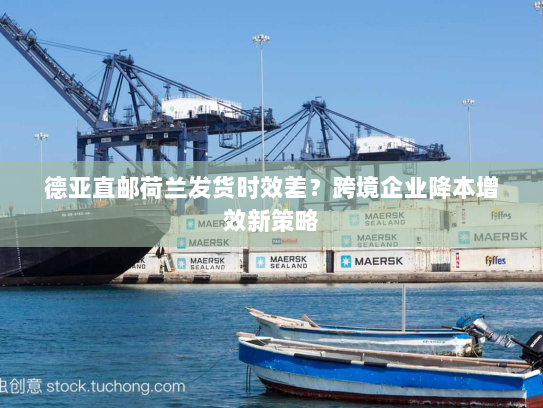 德亚直邮荷兰发货时效差?跨境企业降本增效新策略 德亚直邮荷兰发货时效差?跨境企业降本增效新策略