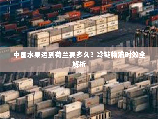 中国水果运到荷兰要多久?冷链物流时效全解析 中国水果运到荷兰要多久?冷链物流时效全解析