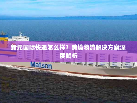 新元国际快递怎么样？跨境物流解决方案深度解析