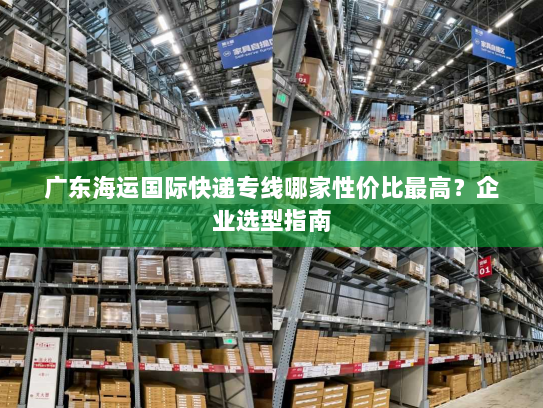 广东海运国际快递专线哪家性价比最高？企业选型指南
