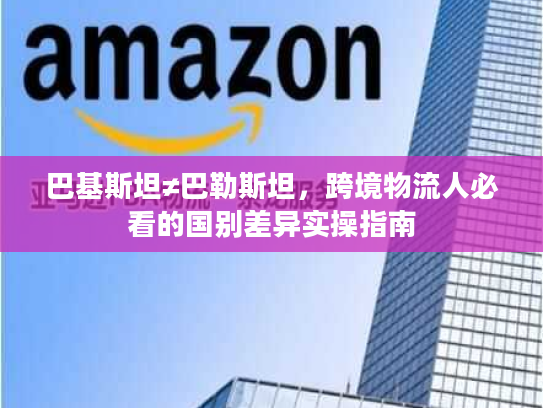 巴基斯坦≠巴勒斯坦，跨境物流人必看的国别差异实操指南