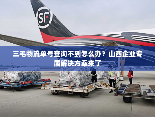 三毛物流单号查询不到怎么办?山西企业专属解决方案来了 三毛物流单号查询不到怎么办?山西企业专属解决方案来了