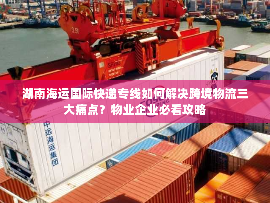 湖南海运国际快递专线如何解决跨境物流三大痛点?物业企业必看攻略 湖南海运国际快递专线如何解决跨境物流三大痛点?物业企业必看攻略