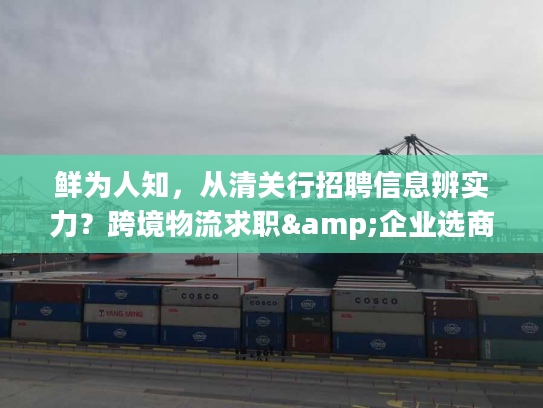 鲜为人知，从清关行招聘信息辨实力？跨境物流求职&企业选商全攻略