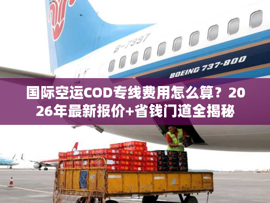 国际空运COD专线费用怎么算？2026年最新报价+省钱门道全揭秘