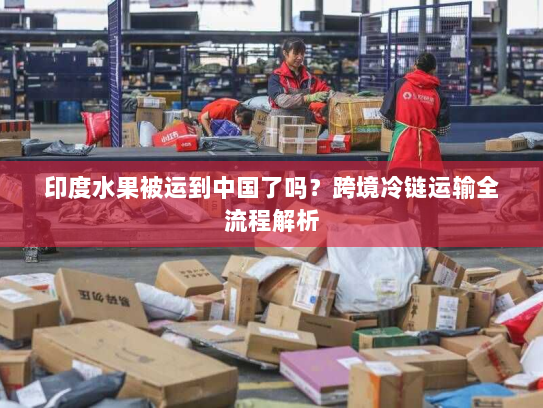 印度水果被运到中国了吗？跨境冷链运输全流程解析