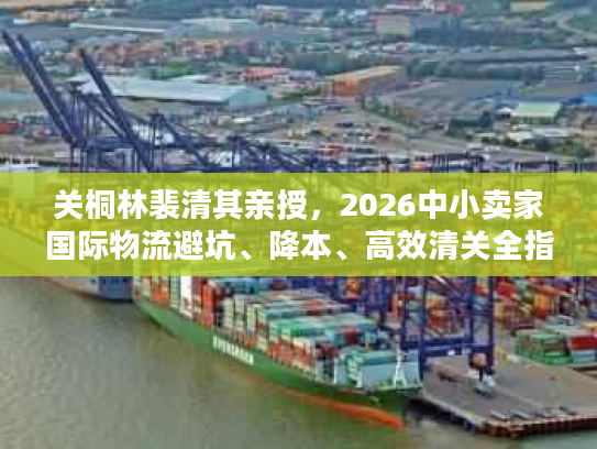 关桐林裴清其亲授，2026中小卖家国际物流避坑、降本、高效清关全指南