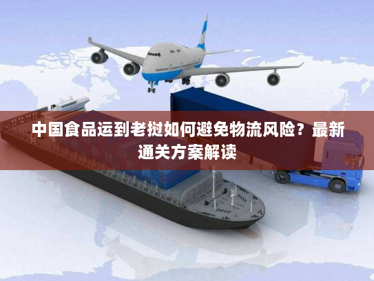 中国食品运到老挝如何避免物流风险？最新通关方案解读