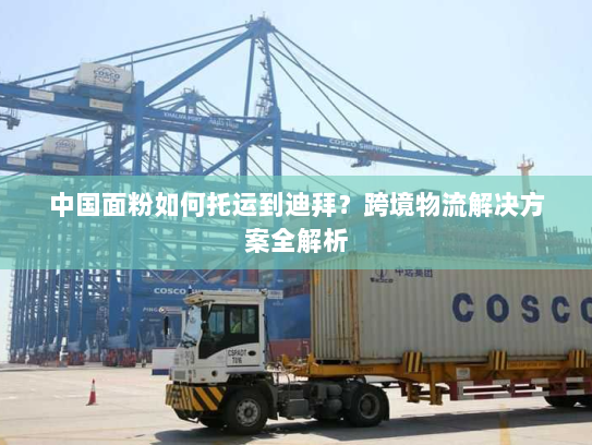 中国面粉如何托运到迪拜?跨境物流解决方案全解析 中国面粉如何托运到迪拜?跨境物流解决方案全解析