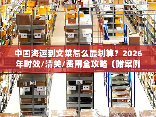 中国海运到文莱怎么最划算？2026年时效/清关/费用全攻略（附案例）