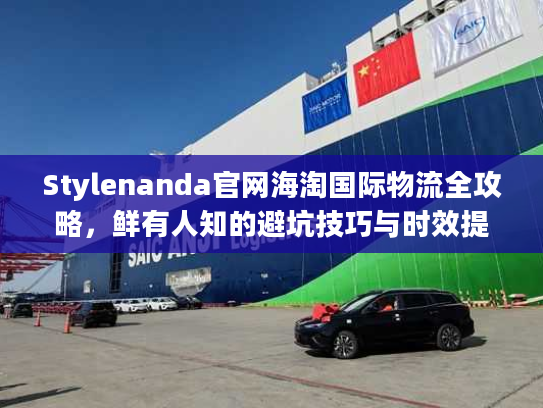 Stylenanda官网海淘国际物流全攻略，鲜有人知的避坑技巧与时效提速法