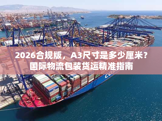 2026合规版，A3尺寸是多少厘米？国际物流包装货运精准指南