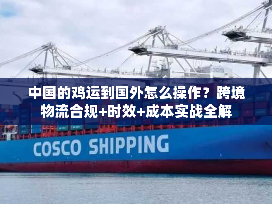 中国的鸡运到国外怎么操作？跨境物流合规+时效+成本实战全解