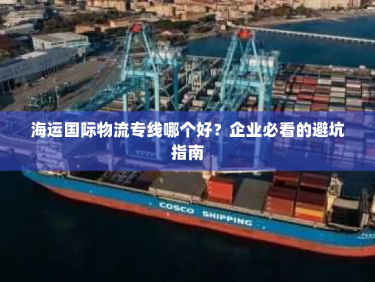 海运国际物流专线哪个好？企业必看的避坑指南