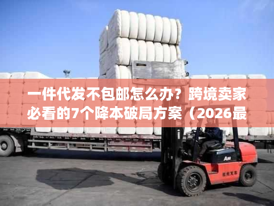 一件代发不包邮怎么办？跨境卖家必看的7个降本破局方案（2026最新）
