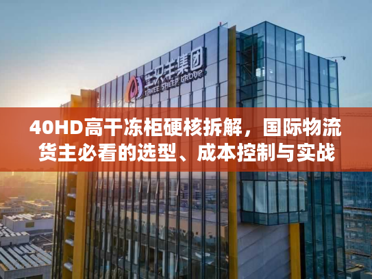 40HD高干冻柜硬核拆解，国际物流货主必看的选型、成本控制与实战避坑攻略
