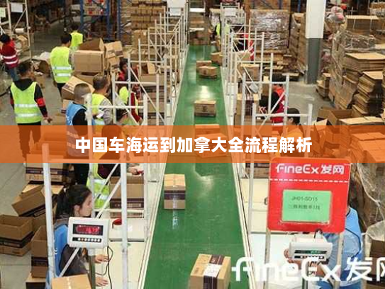 中国车海运到加拿大全流程解析 中国车海运到加拿大全流程解析