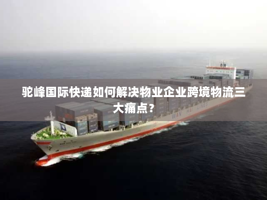 驼峰国际快递如何解决物业企业跨境物流三大痛点？