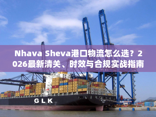 Nhava Sheva港口物流怎么选？2026最新清关、时效与合规实战指南