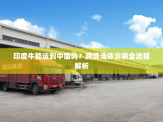 印度牛能运到中国吗?跨境活体运输全流程解析 印度牛能运到中国吗?跨境活体运输全流程解析