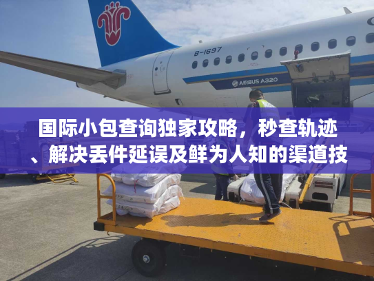 国际小包查询独家攻略,秒查轨迹、解决丢件延误及鲜为人知的渠道技巧 国际小包查询独家攻略,秒查轨迹、解决丢件延误及鲜为人知的渠道技巧