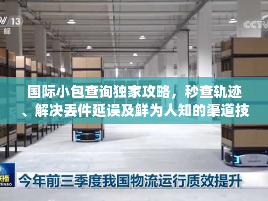 国际小包查询独家攻略,秒查轨迹、解决丢件延误及鲜为人知的渠道技巧 国际小包查询独家攻略,秒查轨迹、解决丢件延误及鲜为人知的渠道技巧