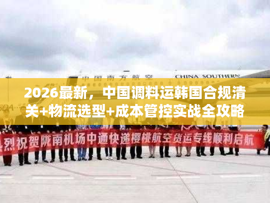 2026最新，中国调料运韩国合规清关+物流选型+成本管控实战全攻略