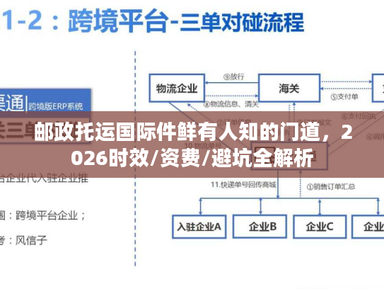 邮政托运国际件鲜有人知的门道,2026时效/资费/避坑全解析 邮政托运国际件鲜有人知的门道,2026时效/资费/避坑全解析