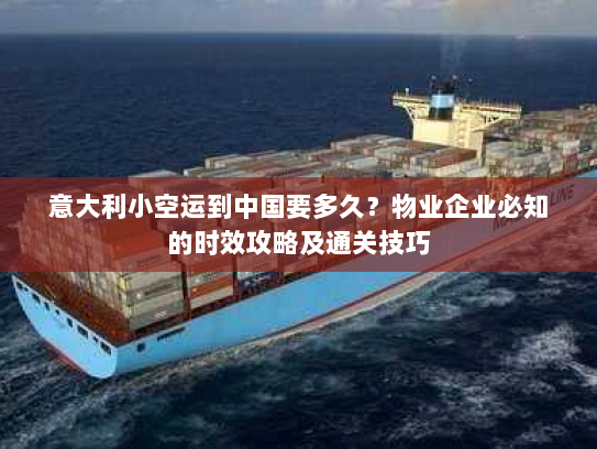 意大利小空运到中国要多久？物业企业必知的时效攻略及通关技巧