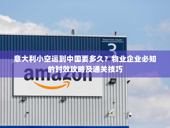 意大利小空运到中国要多久?物业企业必知的时效攻略及通关技巧 意大利小空运到中国要多久?物业企业必知的时效攻略及通关技巧