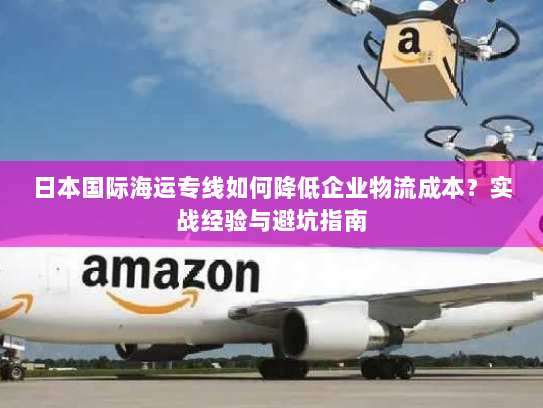日本国际海运专线如何降低企业物流成本？实战经验与避坑指南