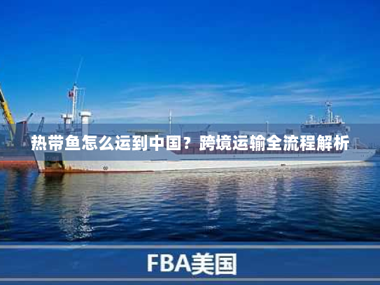热带鱼怎么运到中国?跨境运输全流程解析 热带鱼怎么运到中国?跨境运输全流程解析