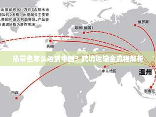 热带鱼怎么运到中国?跨境运输全流程解析 热带鱼怎么运到中国?跨境运输全流程解析