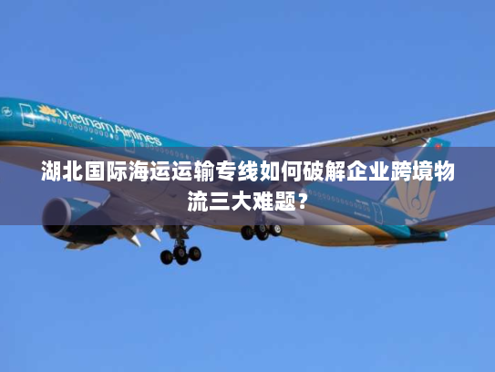 湖北国际海运运输专线如何破解企业跨境物流三大难题? 湖北国际海运运输专线如何破解企业跨境物流三大难题?