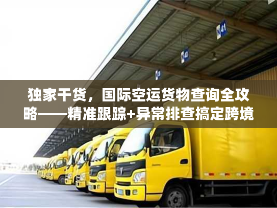 独家干货，国际空运货物查询全攻略——精准跟踪+异常排查搞定跨境物流痛点