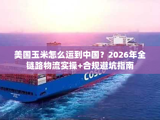 美国玉米怎么运到中国？2026年全链路物流实操+合规避坑指南