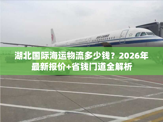 湖北国际海运物流多少钱？2026年最新报价+省钱门道全解析