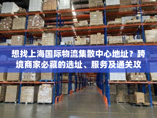 想找上海国际物流集散中心地址？跨境商家必藏的选址、服务及通关攻略
