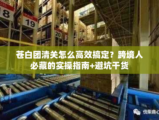 苍白团清关怎么高效搞定？跨境人必藏的实操指南+避坑干货