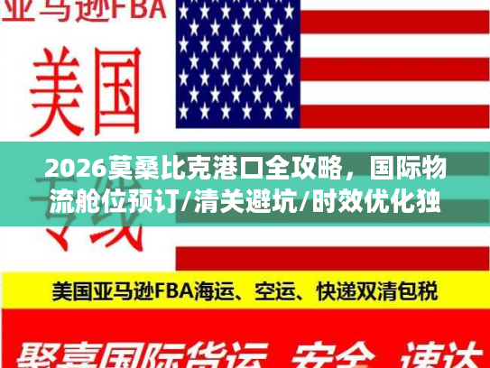 2026莫桑比克港口全攻略，国际物流舱位预订/清关避坑/时效优化独家指南