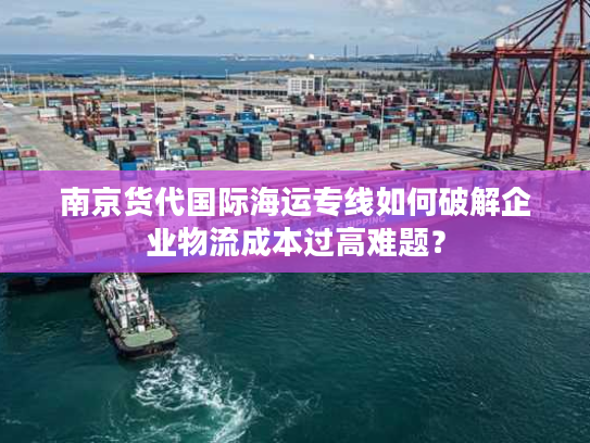 南京货代国际海运专线如何破解企业物流成本过高难题？