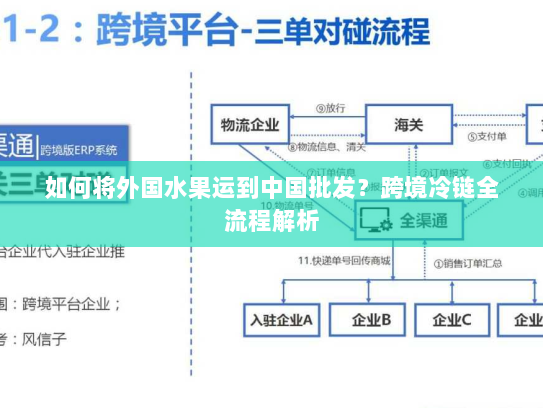 如何将外国水果运到中国批发？跨境冷链全流程解析