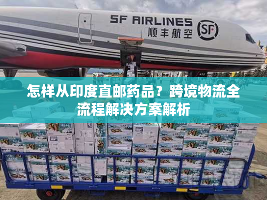 怎样从印度直邮药品？跨境物流全流程解决方案解析