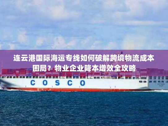 连云港国际海运专线如何破解跨境物流成本困局？物业企业降本增效全攻略