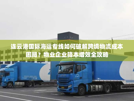 连云港国际海运专线如何破解跨境物流成本困局？物业企业降本增效全攻略