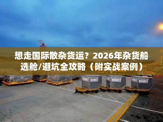 想走国际散杂货运？2026年杂货船选舱/避坑全攻略（附实战案例）