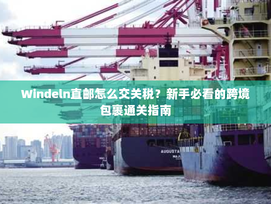 Windeln直邮怎么交关税?新手必看的跨境包裹通关指南 Windeln直邮怎么交关税?新手必看的跨境包裹通关指南