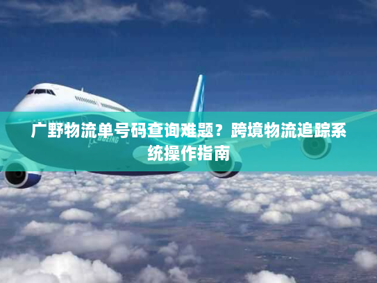 广野物流单号码查询难题?跨境物流追踪系统操作指南 广野物流单号码查询难题?跨境物流追踪系统操作指南