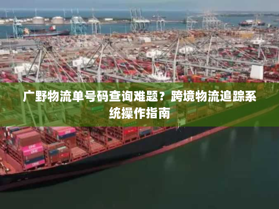 广野物流单号码查询难题?跨境物流追踪系统操作指南 广野物流单号码查询难题?跨境物流追踪系统操作指南