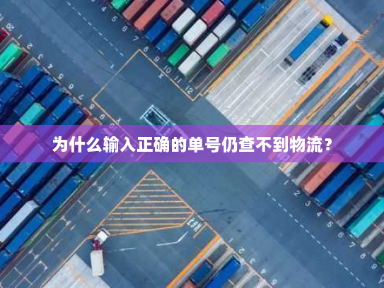 为什么输入正确的单号仍查不到物流? 为什么输入正确的单号仍查不到物流?